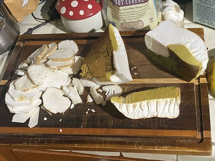 When The Mushroom Gods Bless You With A Huge Bolete And It Turns Out To Be 100% Bug Free