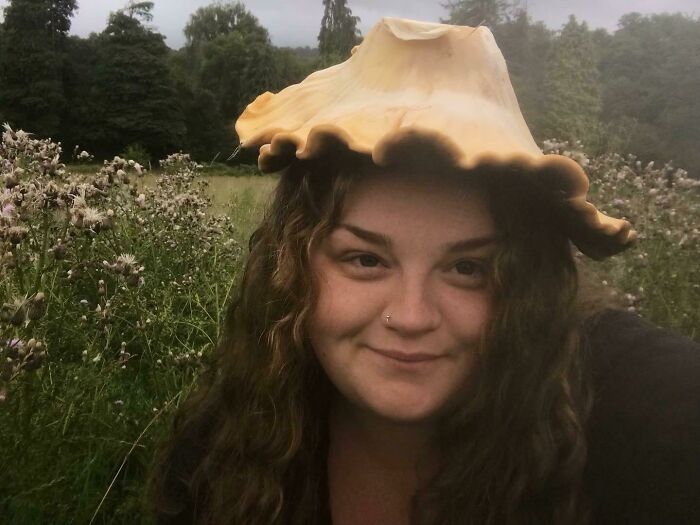 The Ultimate Foraging Hat? Nah, Just Giant Polypore (Meripilus Giganteus) 