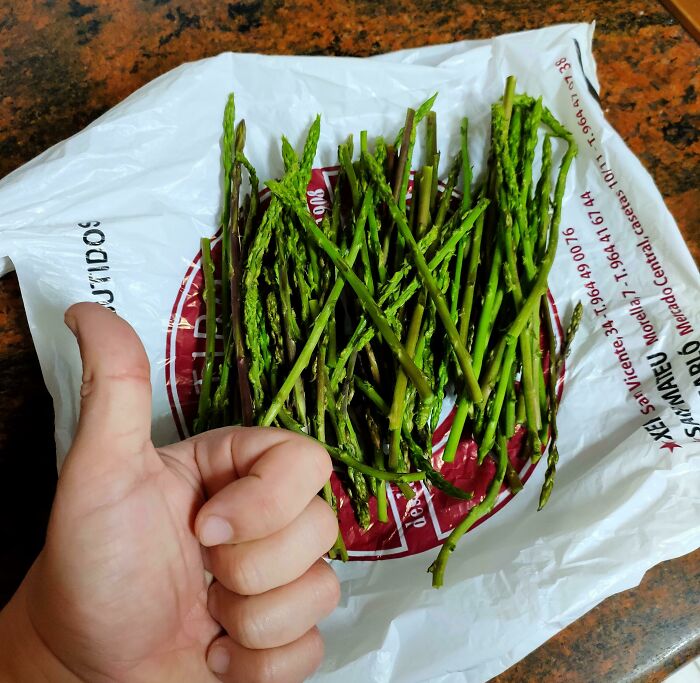 I Walked The Dog And Came Back With Extra Stuff