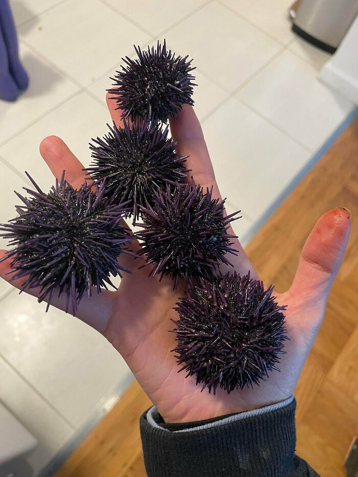 Not The Biggest Yield, But Still A Fun Experience 