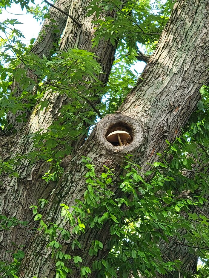 Thought Someone Might Enjoy !