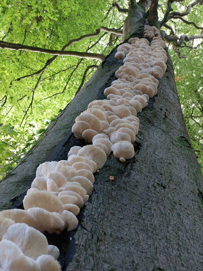 It’s Oyster Season Baby!