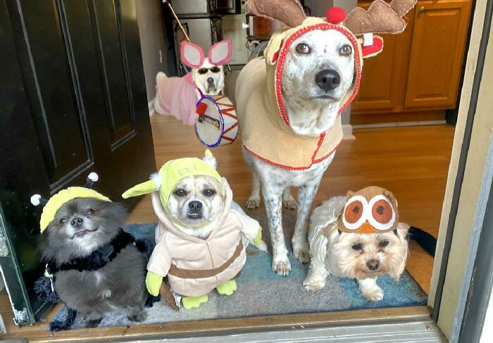 My Squad On Halloween