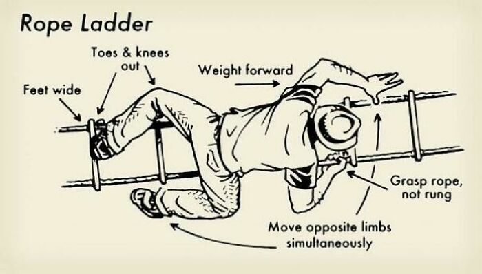 How To Be Mildly Successful At Rope Ladder Carnival Games