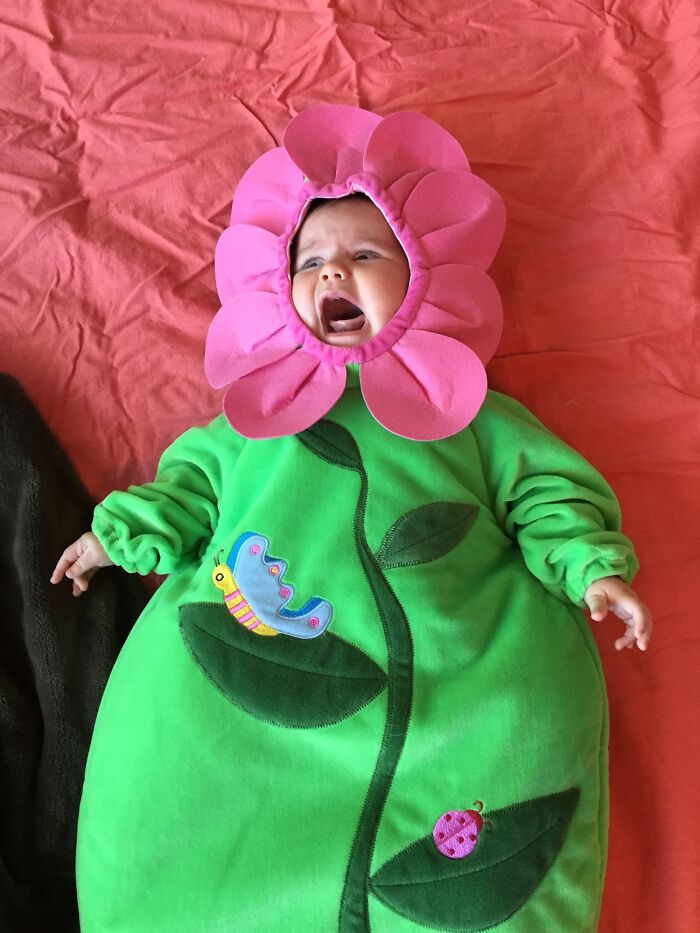 This Costume Probably Isn’t Gonna Work Out