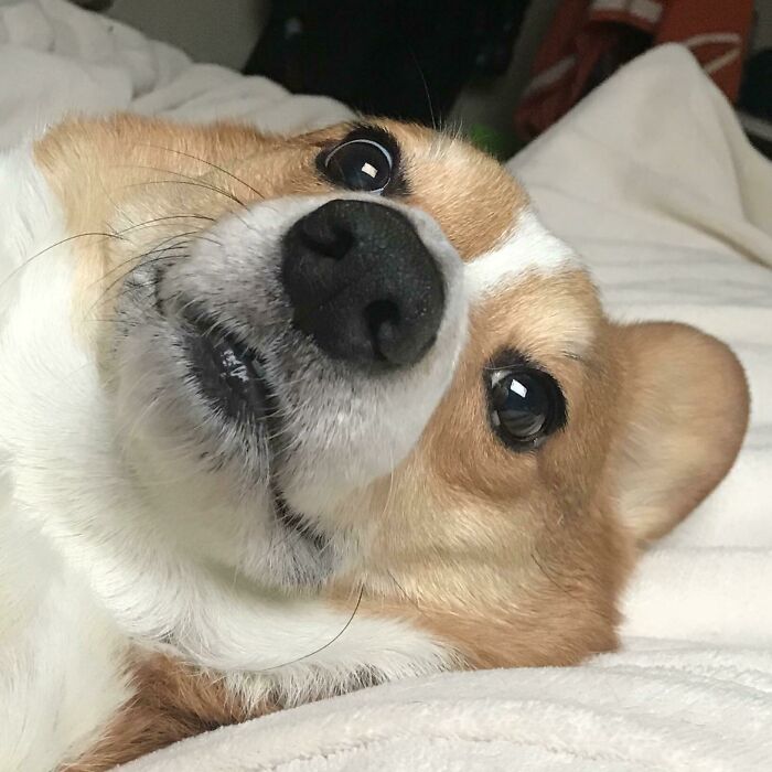 Every Morning I Wake Up To My Soulmate’s Face