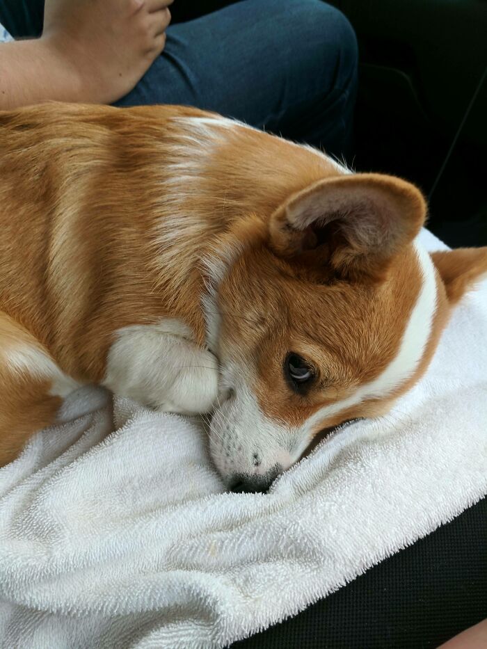 Smiles Coming Home After Hurricane Harvey