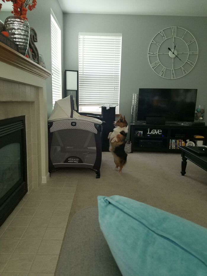 Just Checking Up On My Baby Brother