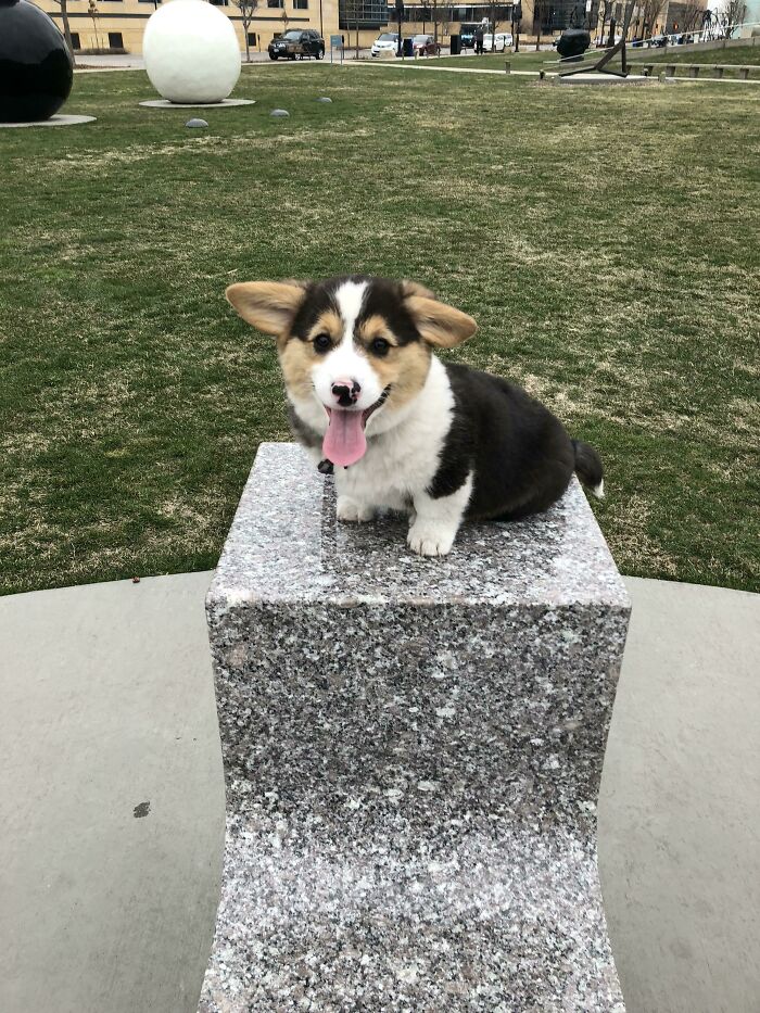 Art Critic In Training At The Sculpture Park