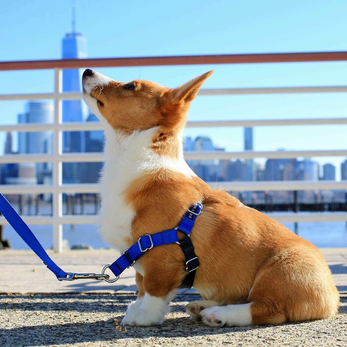 Sometimes The View Is Better From The Bottom