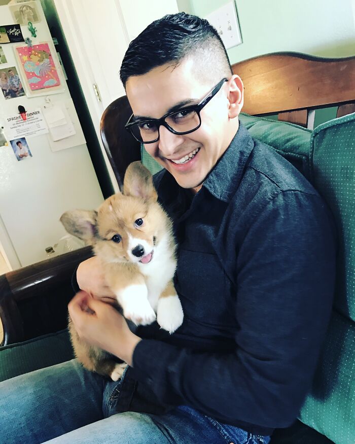 After Waiting Over 10 Years Of Dreaming To Get A Corgi, I Finally Got One! Meet Leah, Reddit!