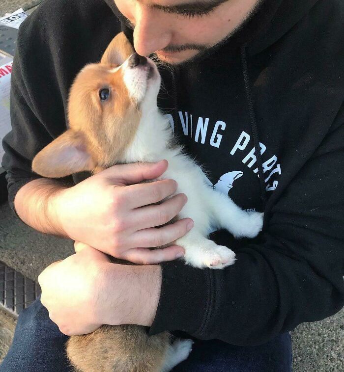 First Meeting With Pumpernickel