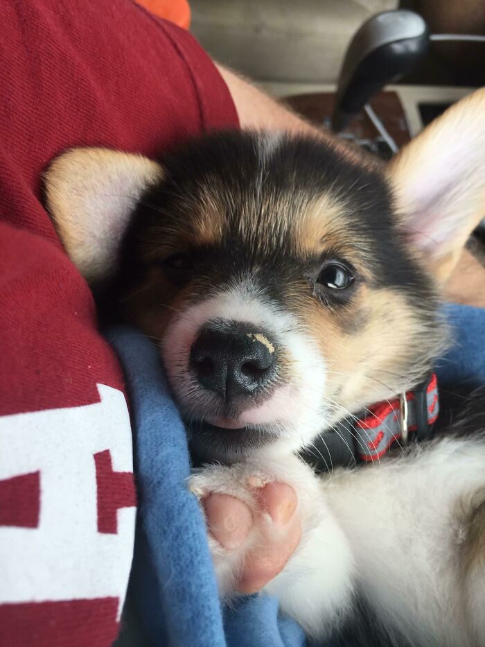 My Life Changed A Whole Lot Yesterday. Meet My Bff, Ted