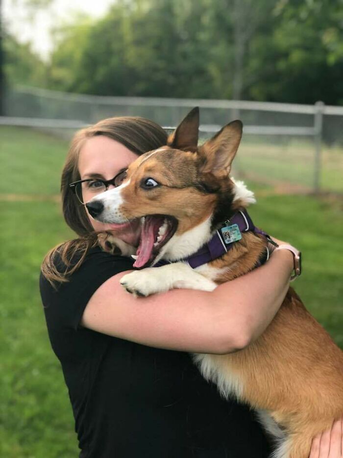 When Mom And Dad Take You To The Dog Park For The First Time