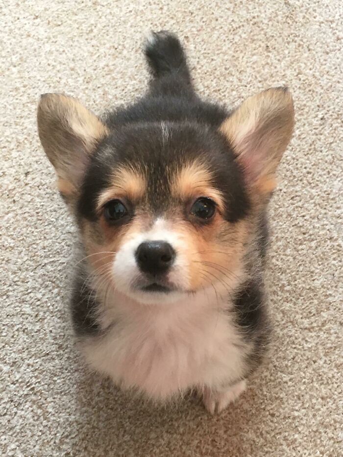The Day We Picked Up Our Burnt Little Loaf