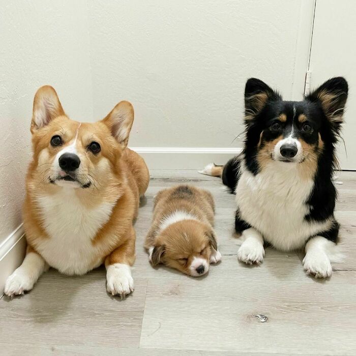 We Made This. How Do You Like It?