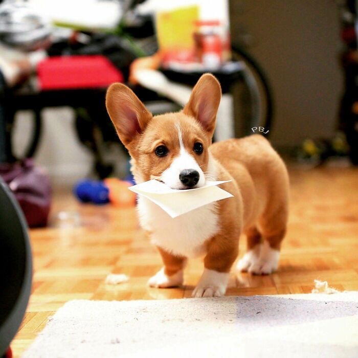 What If All Your Mail Were Delivered Like This?