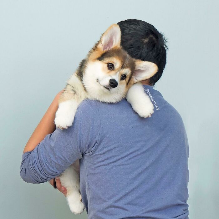 *picks Up And Examines* Yup. This One Sparks Joy. You’re Staying Right Here, Little Miss