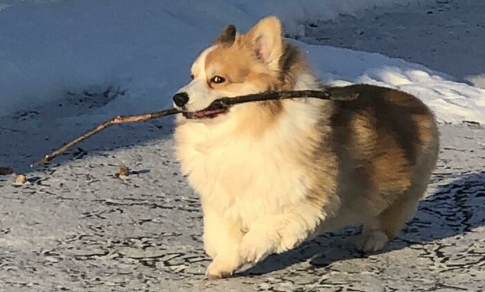 Lance Caught Me Eyeing His Stick