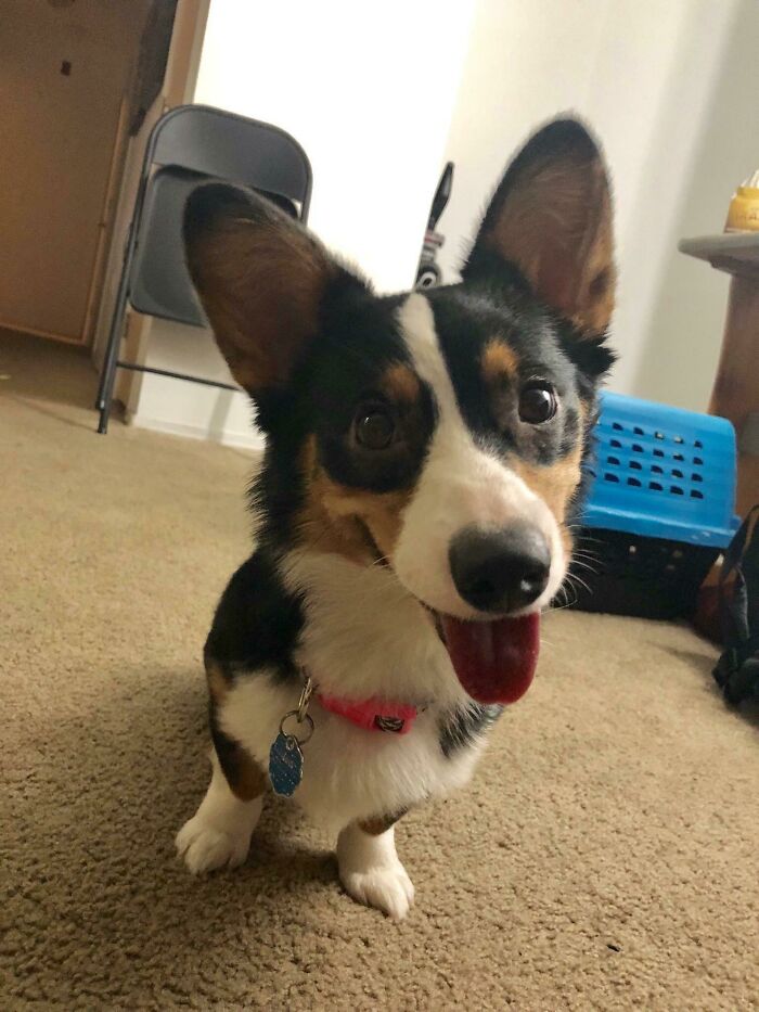 Who’s A Pretty Girl?