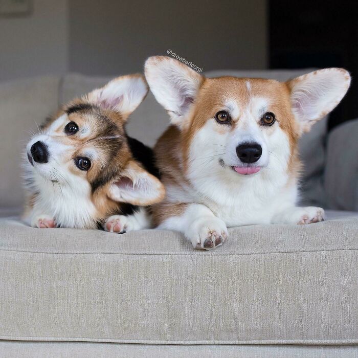 Can’t Decide Which Way To Hold My Phone To Look At These Two