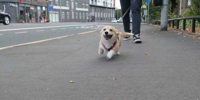 Action Shot Of My Girl When She Was Little