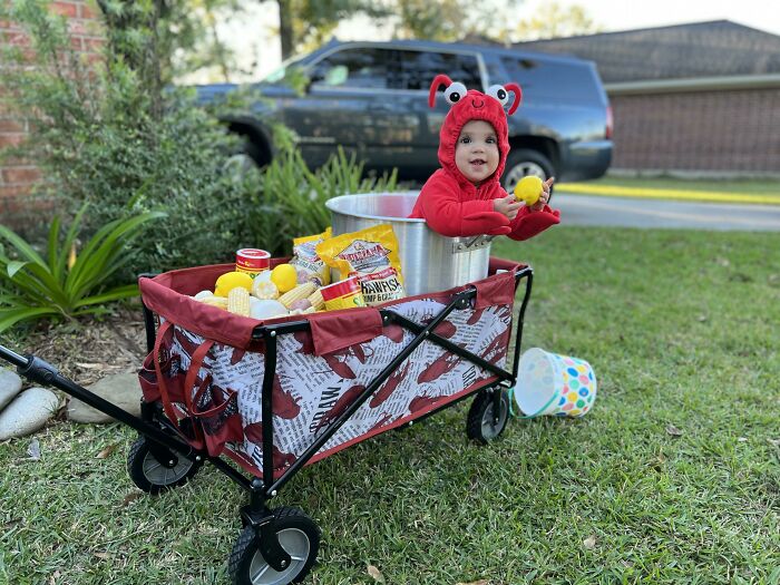 My Wife Bought This Costume Before My Daughter Was Born. It’s Perfect