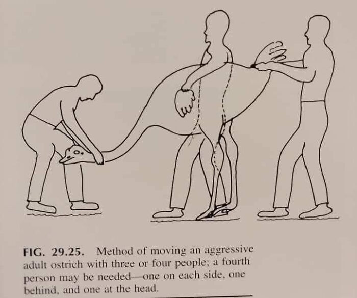 It Seems Useless Until You Need It