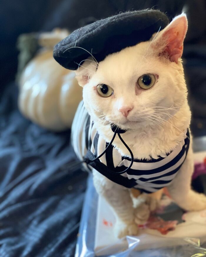 Luke’s 31 Days Of Halloween, Day 22 - French Artist