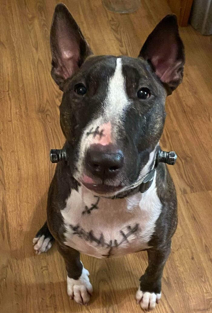 The Costume He Was Born To Wear