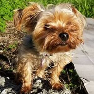 heidisfacebookspam avatar