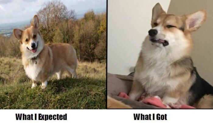 I Think He’s Broken