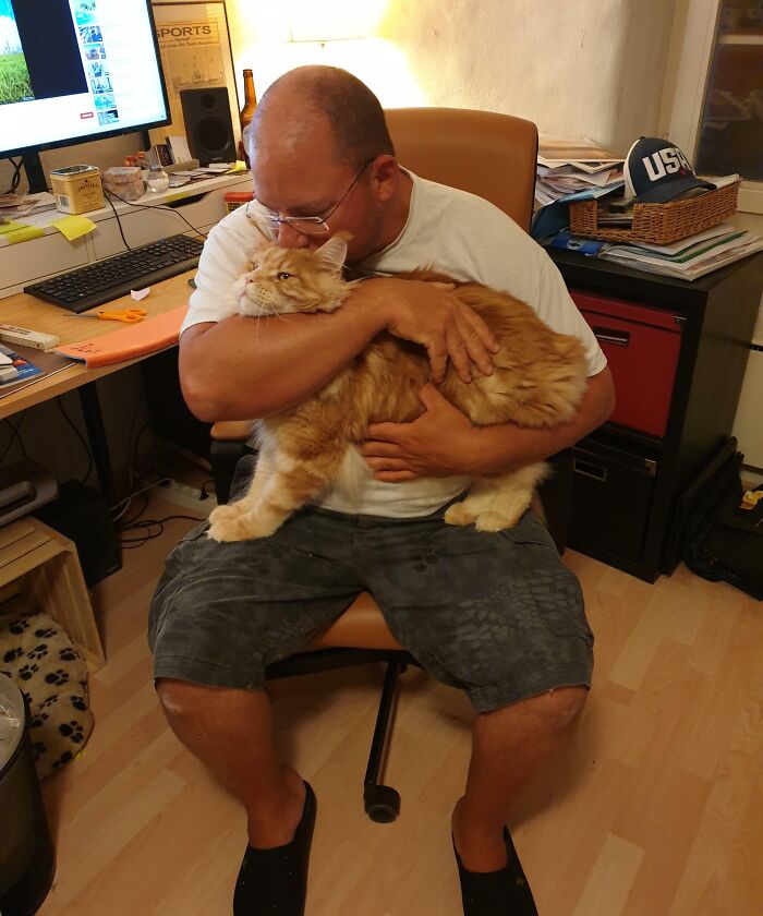 My BF Didn't Want Me To Adopt A Cat. Guess Who Called Me To Tell Me We Would Soon Have Another Adition To The Family?