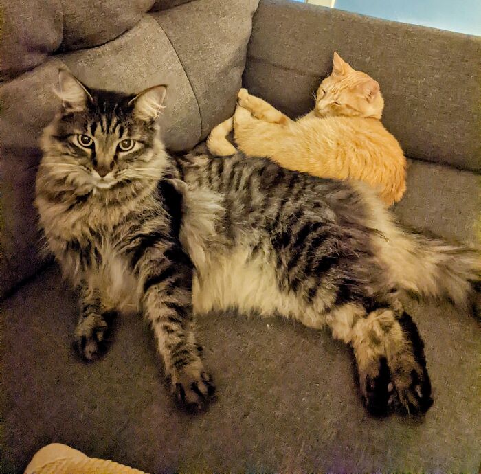 Our Biggest Guy With Our Littlest Guy!