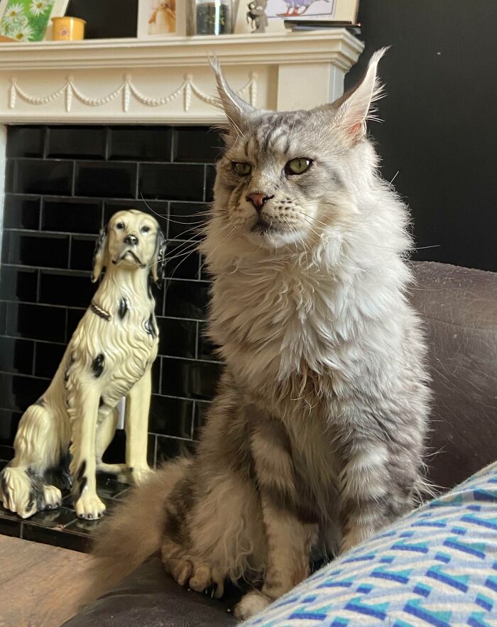 My Beautiful Baby Church