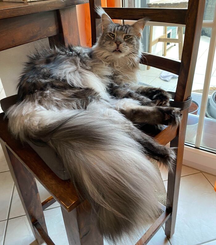 Lias Looks Exactly How I Feel After I Took A Nap