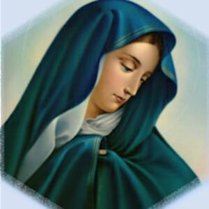 helenahutchinson avatar