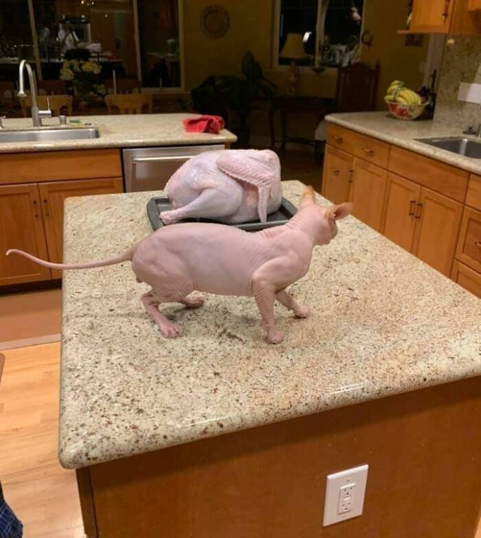  Una semejanza confusa