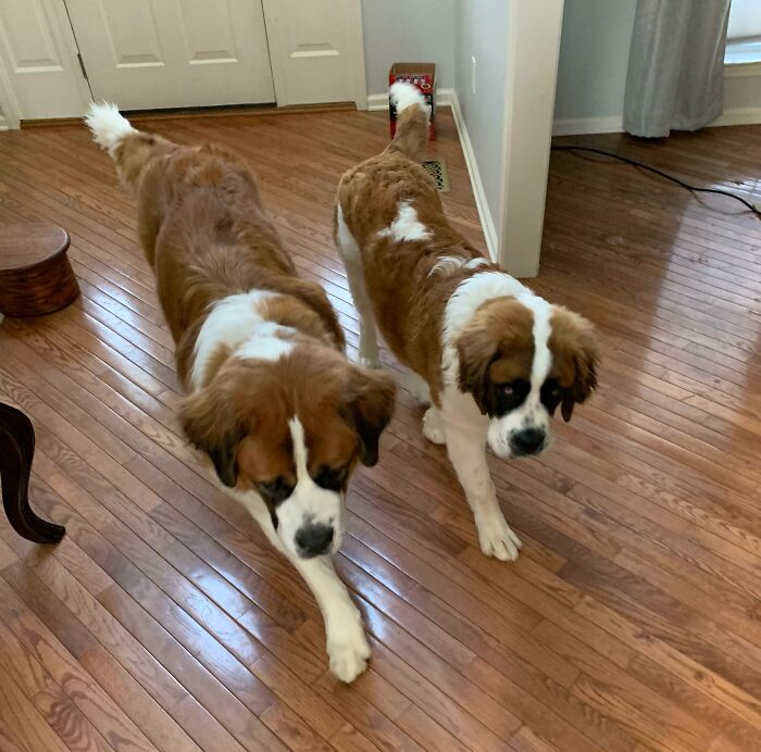 A Glitch In The Matrix