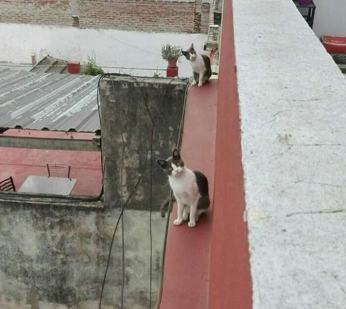 Esto es un fallo en la Matrix