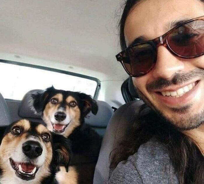 Last Month My Dog Ran Away. It's Been A Week Since I Met Him And Brought Him Home. Today My Dog Came Back And Now I Have Two Identical Ones