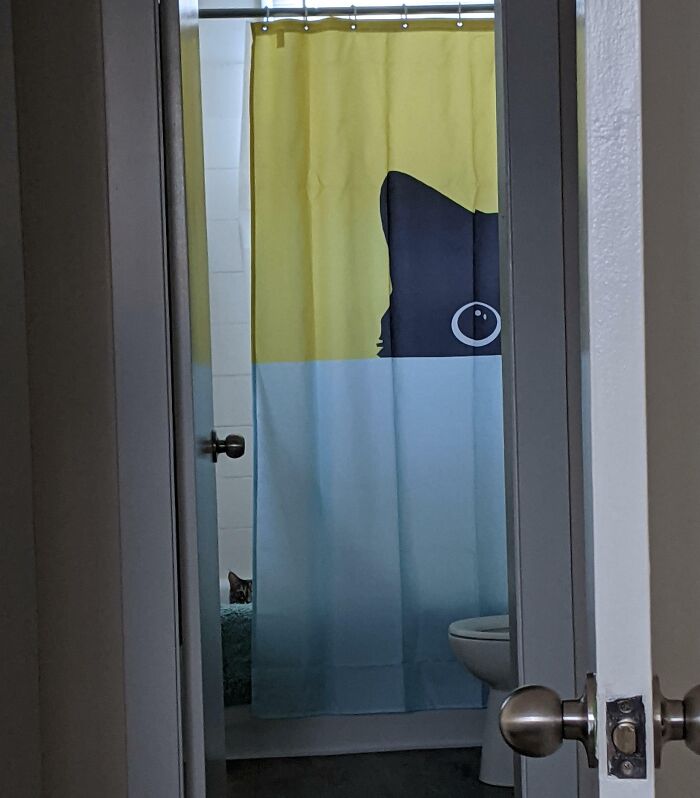 I Looked Over, And My Cat Was Doing The Same Thing As The Curtain