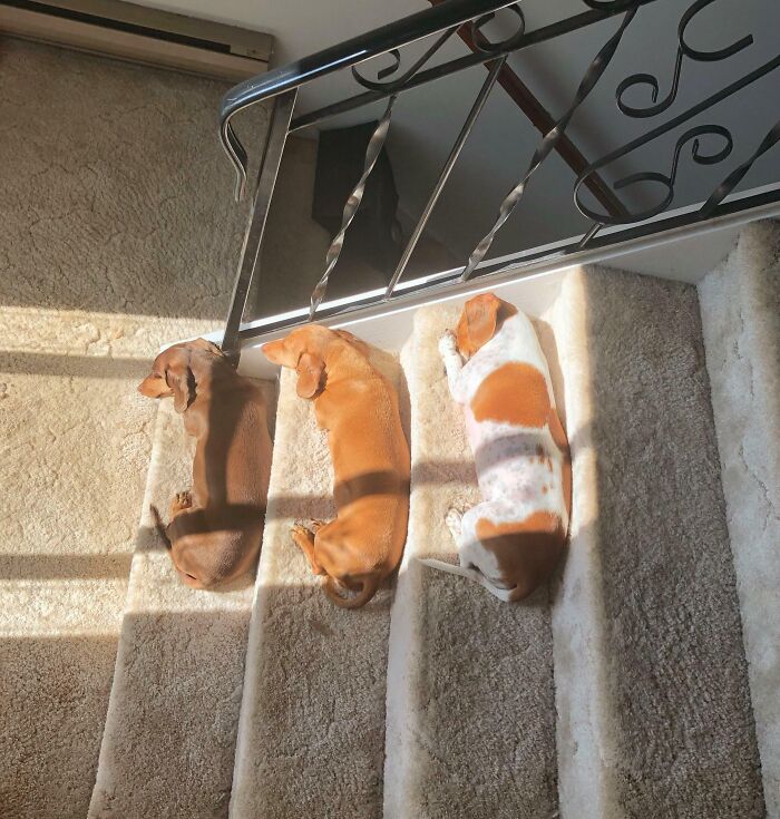 Hacen esto todos los días a la misma hora