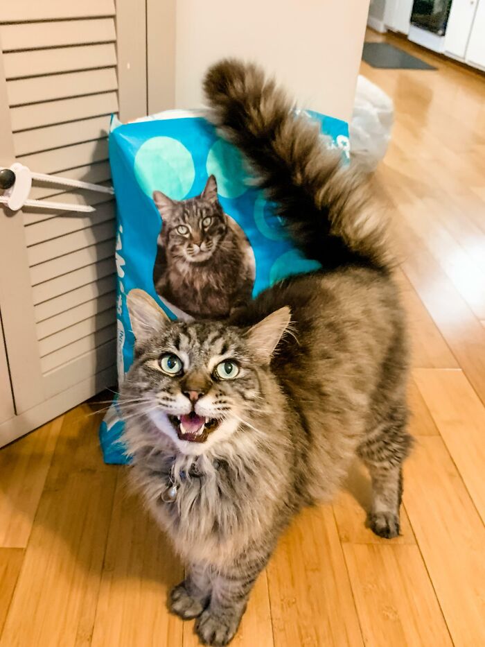 Mucha Is Proud To Be On The Yams' Bag (Doppelgänger)