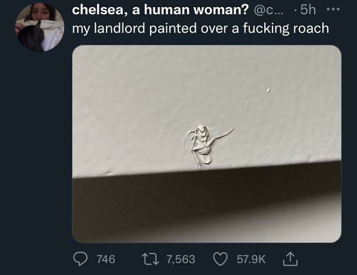 Leech Paints Over A Roach