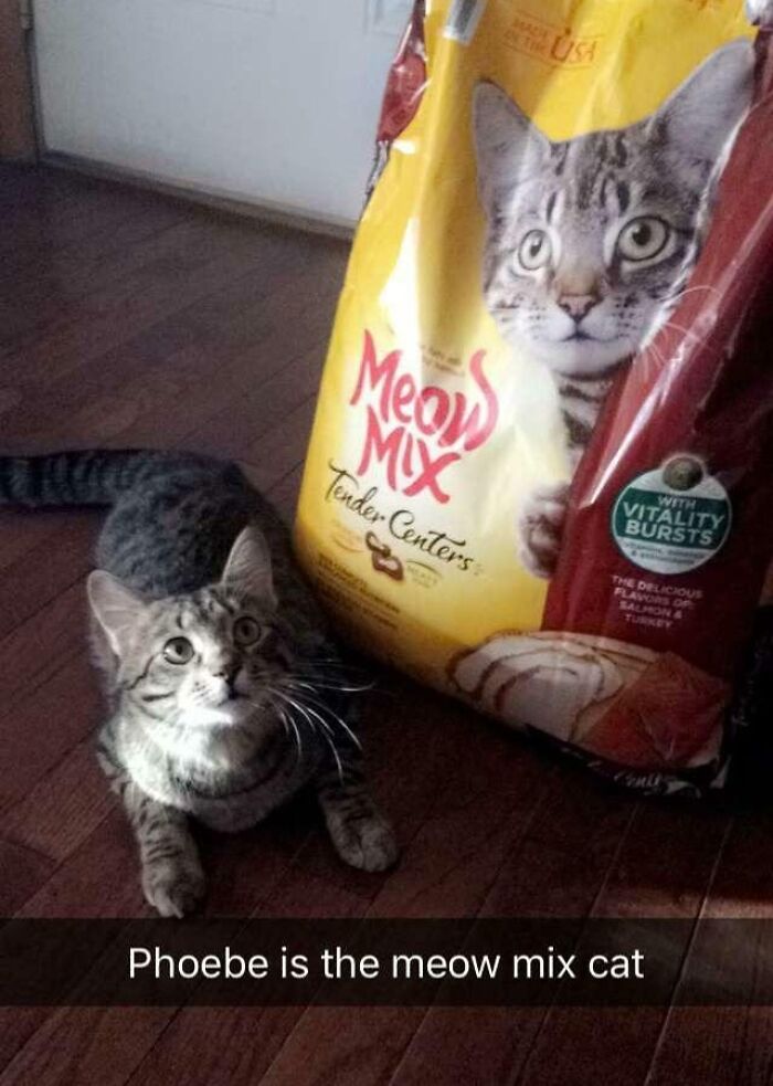 Found Her Celebrity Look Alike