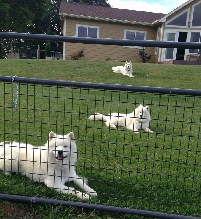 Un fallo de la Matrix bastante simpático