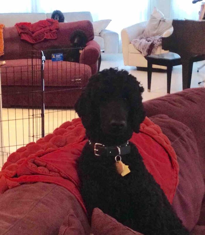 Ctrl+C, Ctrl+V, Ctrl+V