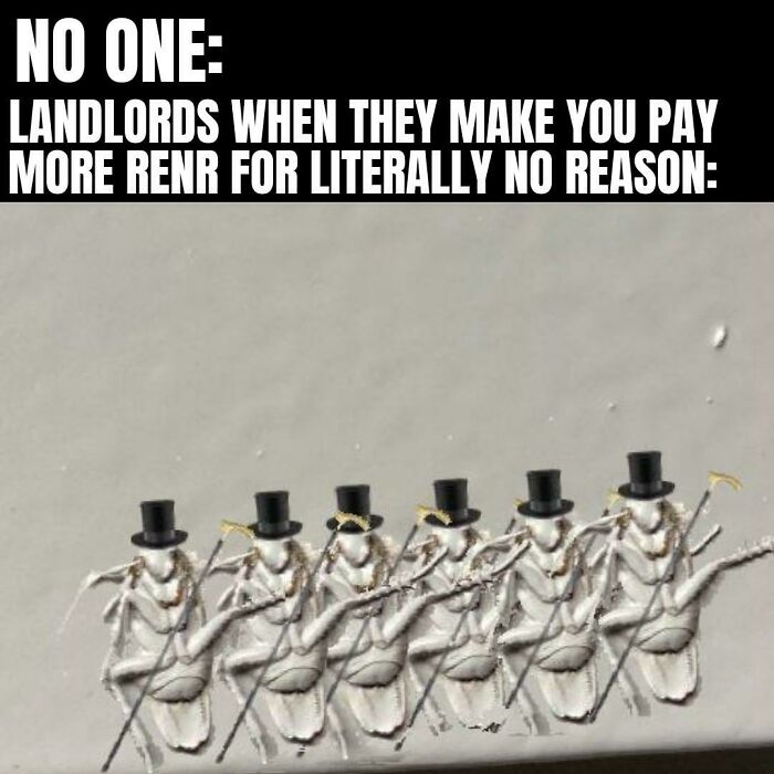 Hope This Survives New