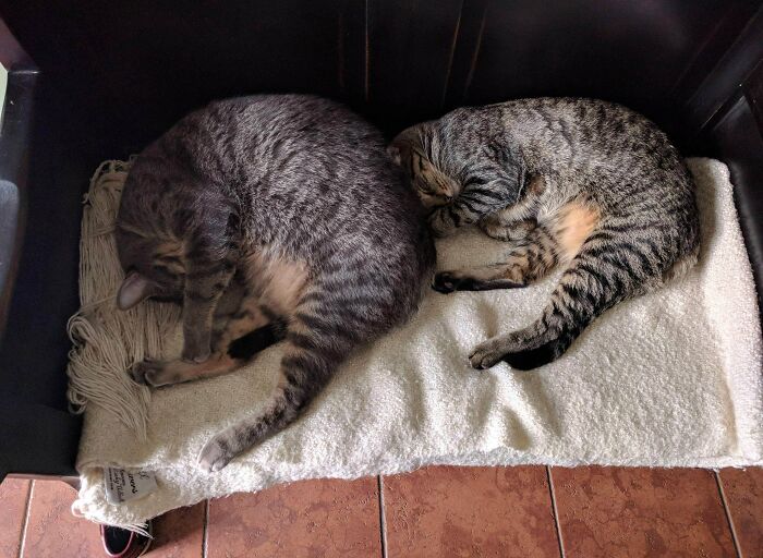 Ctrl+C, Ctrl+V, Resize